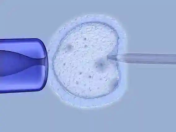 拉萨当多元家庭拥抱新生命：解锁 “彩虹生子” 的温暖密码
