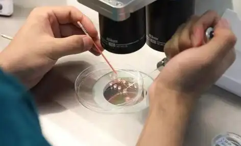 温州打破偏见的生命礼赞：同性生子背后的爱与坚守